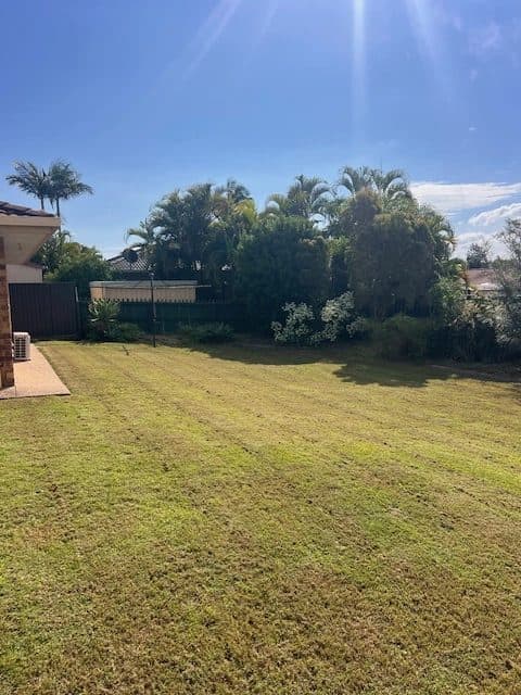 Mown back yard with mowing stripes and trees beyond