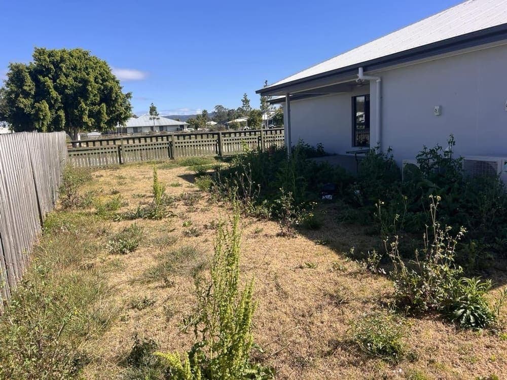 Dry yard with weeds and bare patches beside a fence