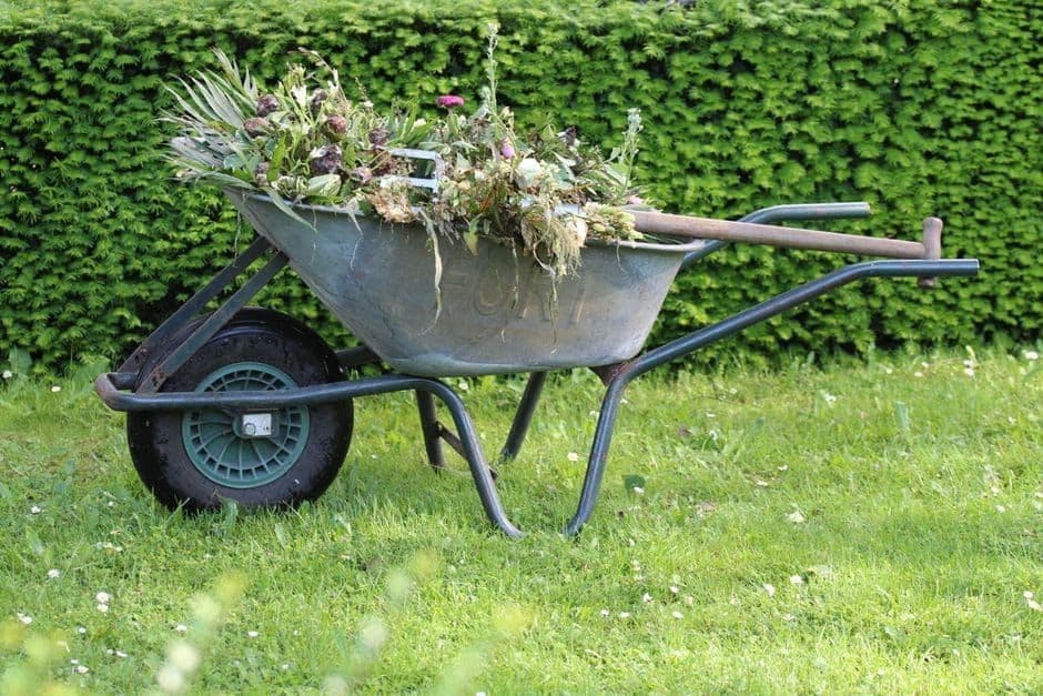 Wheelbarrow loaded with garden clippings beside a green hedge